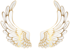 Decorative White Wings PNG Clipart