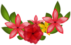 Exotic Floral Decoration PNG Clipart Image