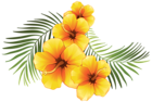 Exotic Floral Decoration Transparent PNG Clip Art Image