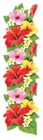 Exotic Flowers Decoration PNG Clipart