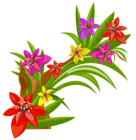 Exotic Flowers Decoration PNG Image