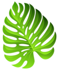 Exotic Green Plant Decoration PNG Clipart Image