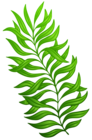 Exotic Green Plant PNG Clipart Image