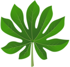 Exotic Leaf PNG Clip Art Image