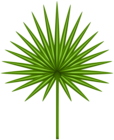 Exotic Leaf Transparent PNG Clip Art Image
