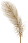 Feather Brown PNG Clip Art