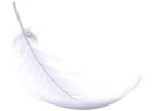 Feather PNG Transparent Clipart