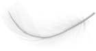 Feather White PNG Transparent Clipart