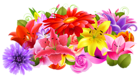 Floral Decor PNG Clipart