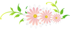 Floral Decoration PNG Clipart