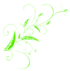 Floral Ornament PNG Picture