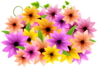 Flowers Decoration PNG Clip Art Image