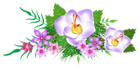 Flowers Decorative Element PNG Image