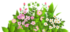 Flowers Decorative Element PNG Picture