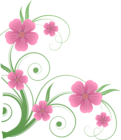 Flowers PNG Decorative Element Clipart