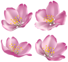 Flowers for Decoration PNG Clip Art Image