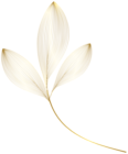 Gold Leaves PNG Clipart