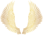 Gold Wings PNG Clip Art Image