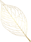 Golden Leaf Decoration PNG Clipart