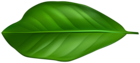 Green Leaf PNG Clipart