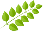 Green Leaves Decoration PNG Clipart