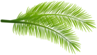 Green Palm Branches PNG Clipart