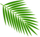 Green Palm Leaves PNG Clipart
