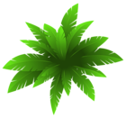 Green Plant Decoration PNG Image