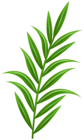 Green Plant PNG Transparent Clipart