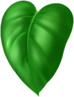 Green Tropical Plant Leaf PNG Clipart