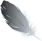 Grey Feather PNG Transparent Clipart