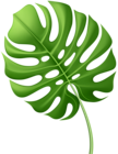 Large Tropical Leaf PNG Clip Art Image