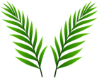Leaves Deco PNG Clipart
