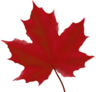 Maple Leaf Red PNG Clip Art Image