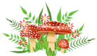 Mushrooms Decorative Element PNG Image