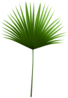 Palm Leaf Branch PNG Transparent Clipart