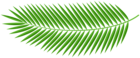 Palm Leaf Green PNG Clipart