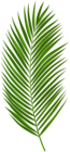 The page with this image: Palm Leaf PNG Clipart,is on this link