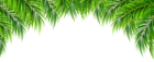 Palm Leaves Decor PNG Clip Art Image