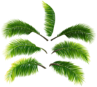 Palm Leaves Transparent PNG Clip Art