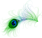 Peacock Feather PNG Clip Art Image