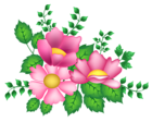 Pink Flowers Decoration PNG Image