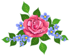 Pink Rose Decorative Element PNG Image