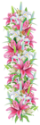 Pink and White Lilies Decoration Border PNG Clipart Image