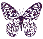 Purple Decorative Butterfly PNG Clipart Image