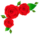 Red Roses Corner Transparent PNG Clip Art Image