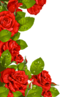 Red Roses Decoration for Frame PNG Clipart