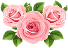 Rose Decoration PNG Clip Art Image