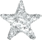 Silver Sequin Star PNG Clipart