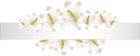 Soft Deco Banner with Flowers PNG Clip Art